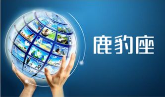 網(wǎng)絡(luò)營(yíng)銷(xiāo)策劃 信息網(wǎng)絡(luò)經(jīng)營(yíng)游戲產(chǎn)品的多元化方法與實(shí)戰(zhàn)策略